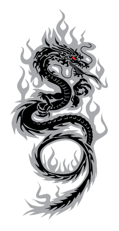 American Driving Academy Logo