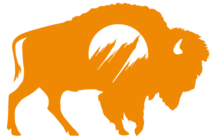 American Driving Academy Logo