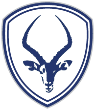 American Driving Academy Logo