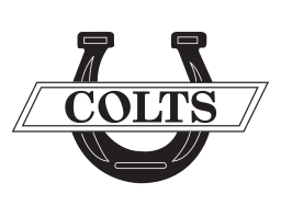 American Driving Academy Logo