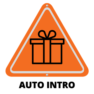 Driving School Driving Lesson Packages (Sydney) - First Automatic Introductory Lesson (Sydney) at Onroad Driving Education