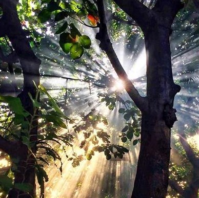 Flourish by Design: The Sequential Path to a Whole-Self Upgrade