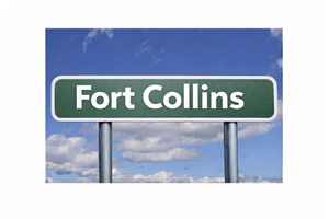 Driving School Online Course - (Fort Collins) Online 30Hr. Course + Permit Test + 3 Two-Hour Driving Lessons + Drive Test at American Driving Academy