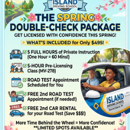 Driving School A SPRING SALE - THE SPRING DOUBLE CHECK PACKAGE--"FREE 2ND CAR + FREE 2ND ROAD TEST APPOINTMENT