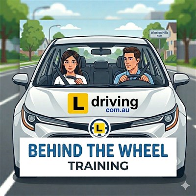 Behind the Wheel Training