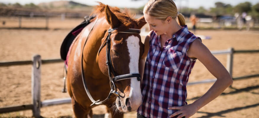 Horse Riding Lessons