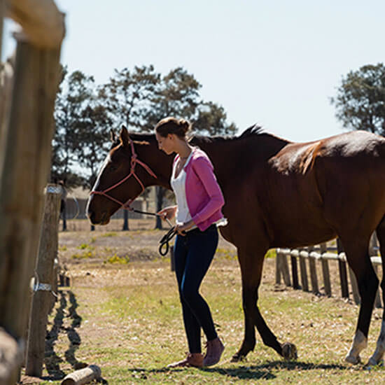 Student bonding with horse during a riding lesson at K&J Horse Boarding.