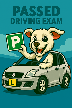 Driving School Test Day Package - Test Day Ride at Everyone's Driving School