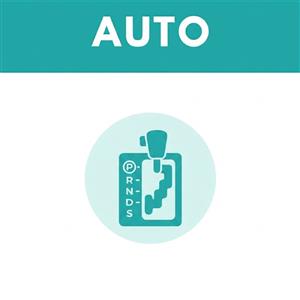 Driving School Single Lessons - Single Auto Lesson at Learner Drivers GC
