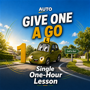Driving School Single Lesson - Single Automatic Lesson at Elle Plate Driving School