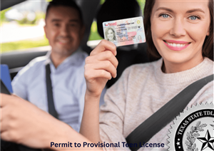 Driving School Texas Courses - Texas Permit & Full License (STDE + PTDE) at Best Texas Drivers Ed LLC