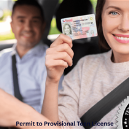 Driving School Texas Courses - Teen - Texas Permit & Full License (STDE + PTDE) - 24 Hours