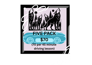 Driving School Packages - 5 x 45 Minute Automatic Lesson Pack at WolfGang's Driving School