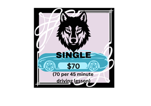 Driving School Vouchers - 45 Minute Automatic Driving Lesson at WolfGang's Driving School