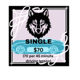 Driving School Vouchers - 45 Minute Automatic Driving Lesson
